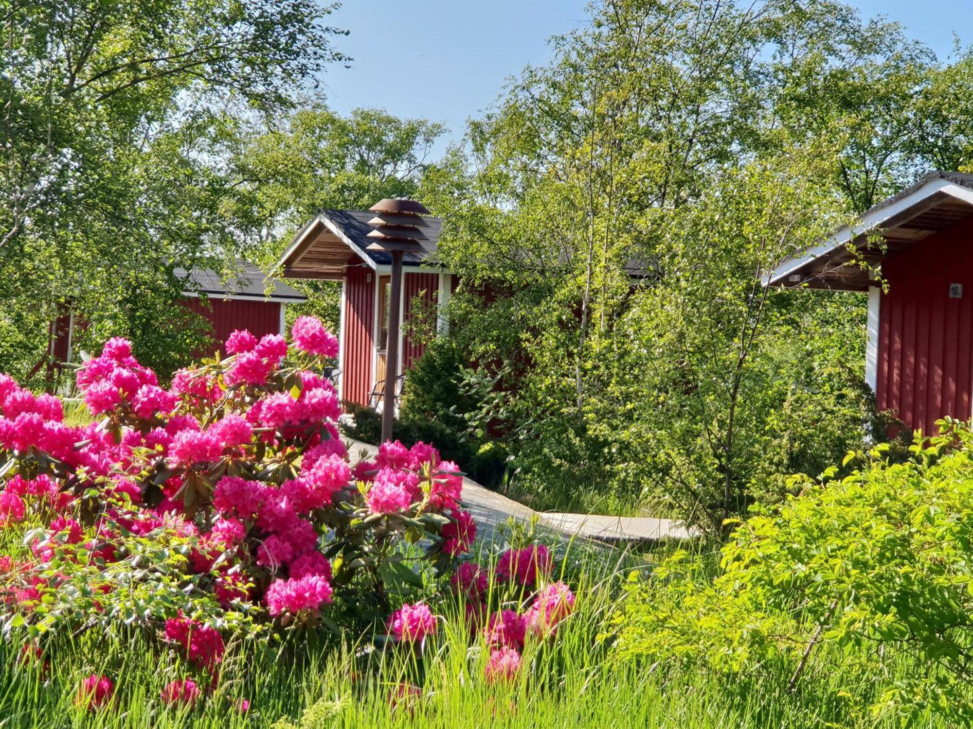 Koekar Havspaviljong Cottages Eksteriør bilde